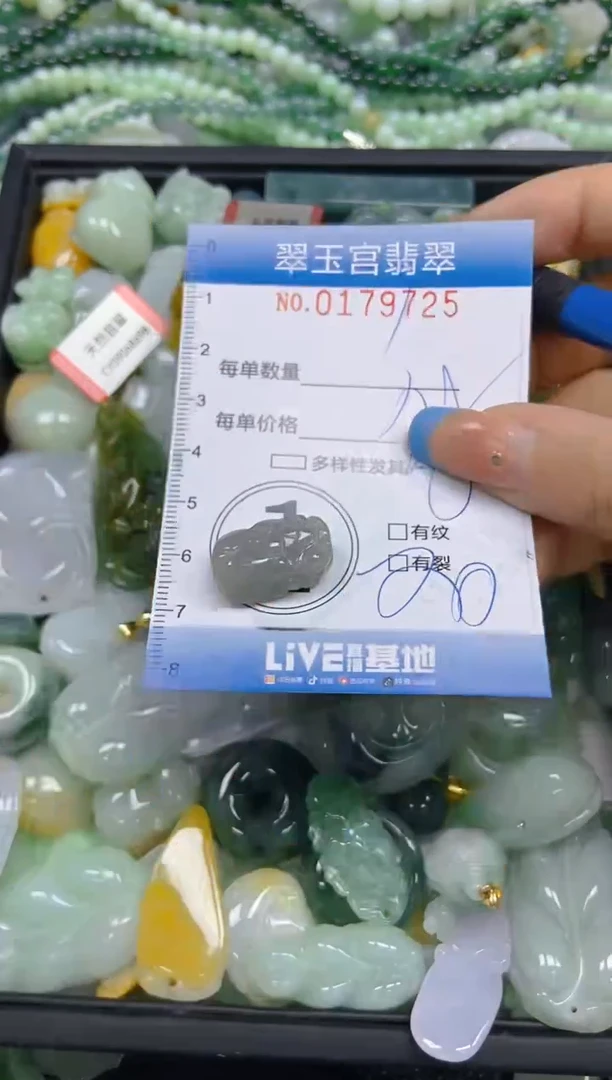 翡翠未镶嵌颈饰闪购0179725