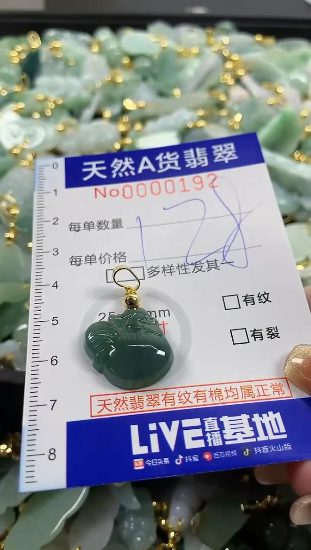 颈饰未镶嵌翡翠天然A货翡翠