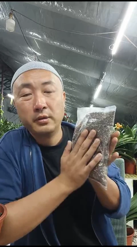 君子兰油性植料