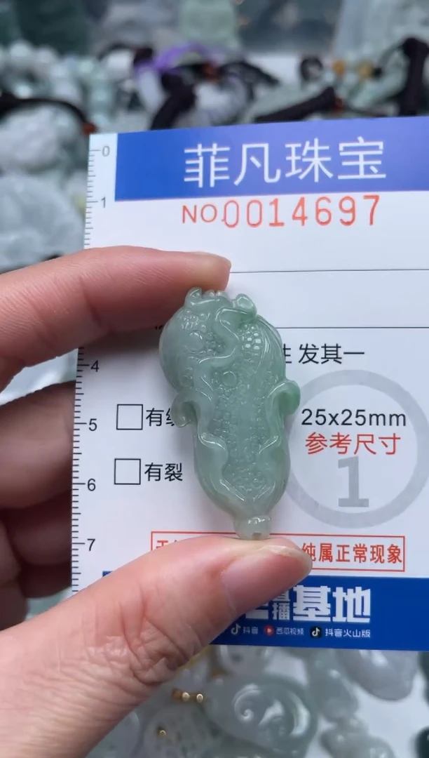 颈饰未镶嵌翡翠14697