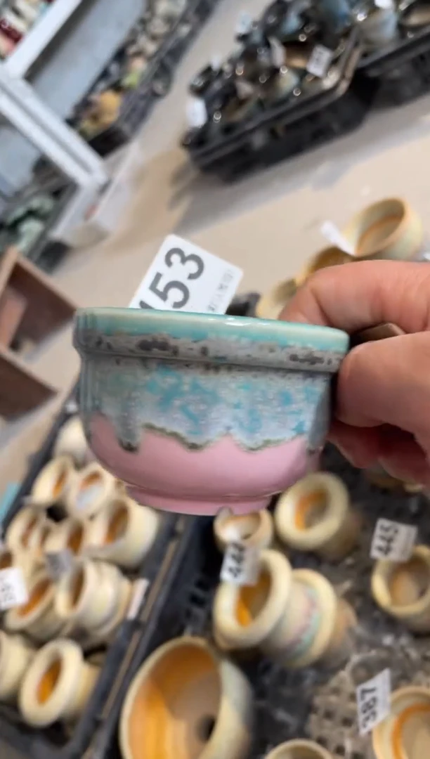 瓷片453小芳直播编号