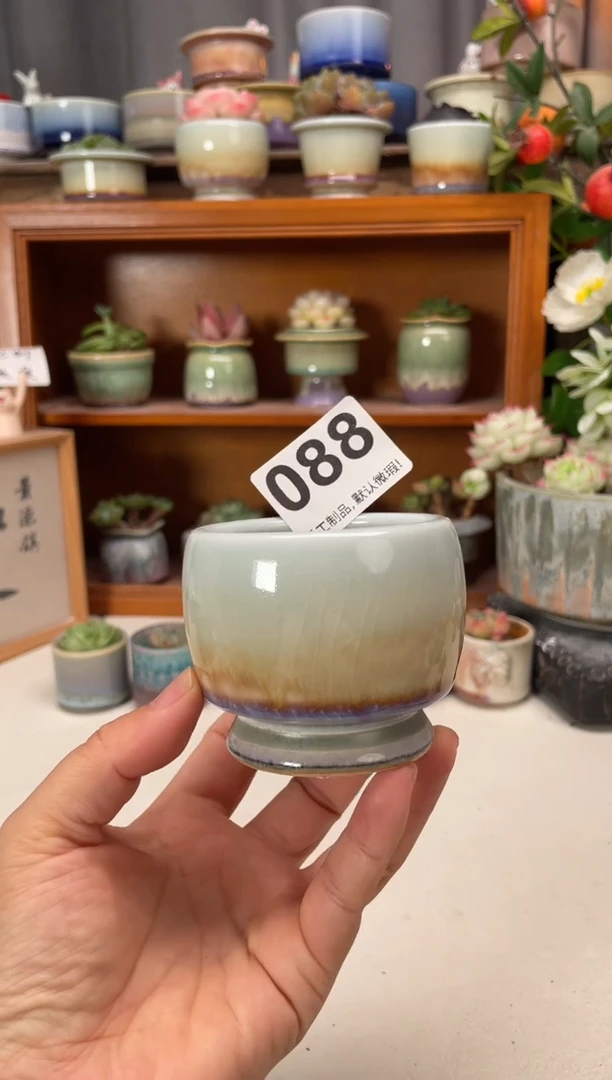 瓷片088知木小芳花盆