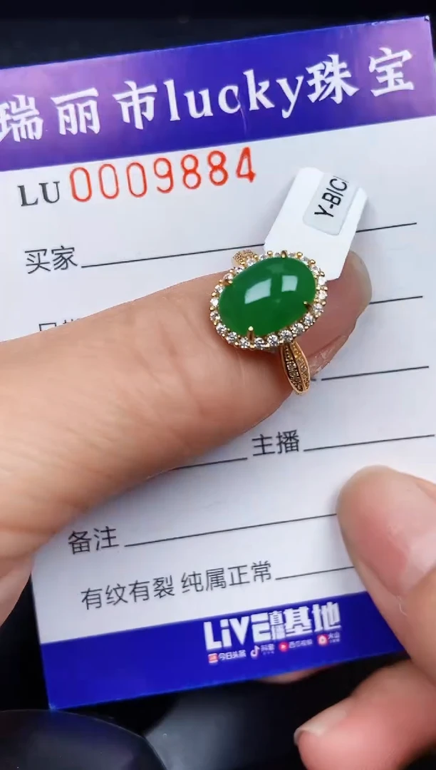 翡翠银S925镶嵌颈饰98884