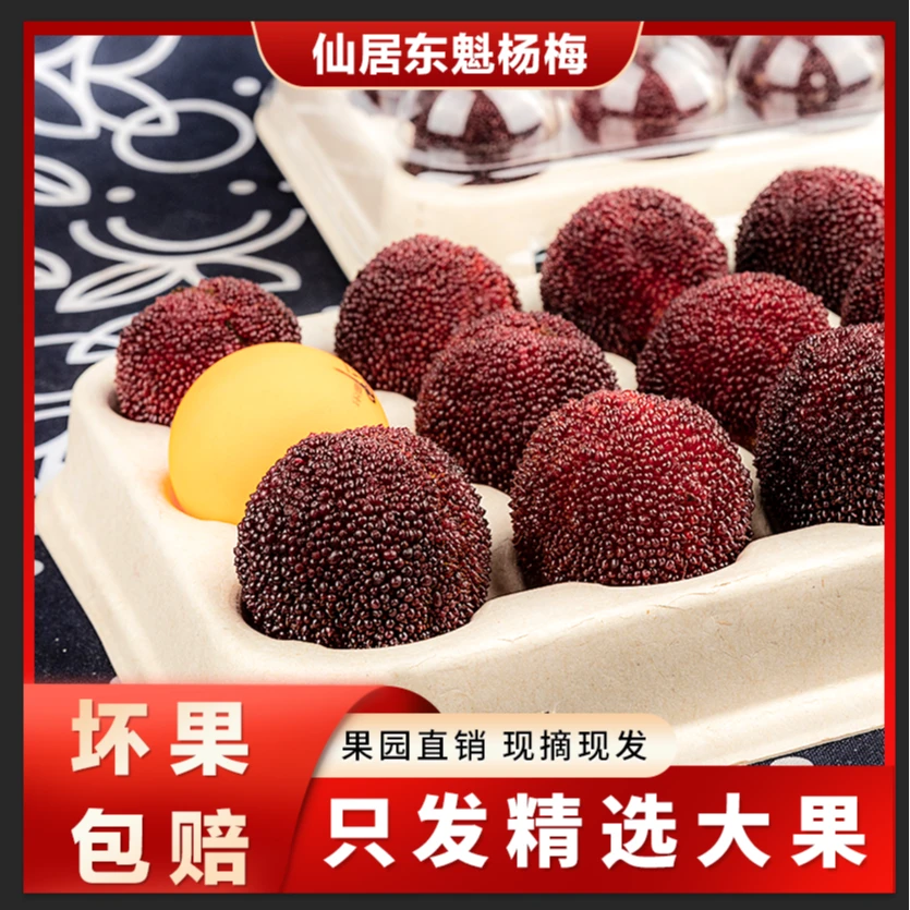 【定制礼盒装】正宗仙居东魁杨梅新鲜采摘当季冷链直达顺丰/京东