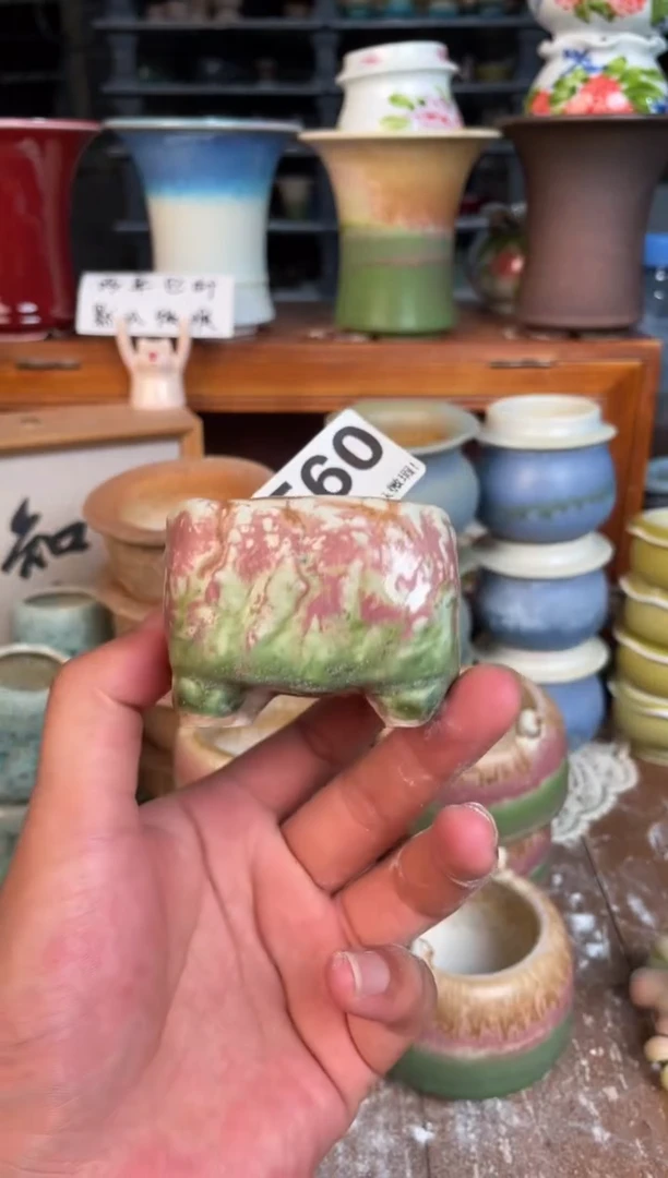 瓷片560小芳直播编号