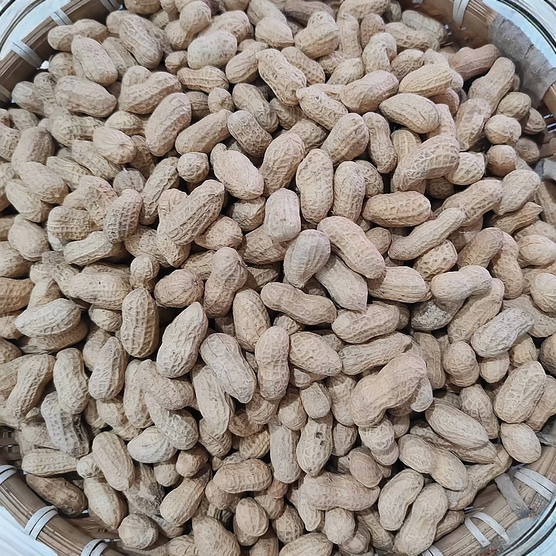 原味炒花生，酥脆香甜，无沙无土干净卫生