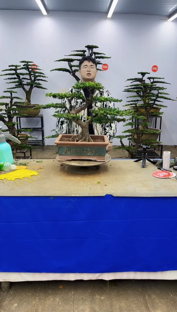 以实际为准一物一拍，所见即所得