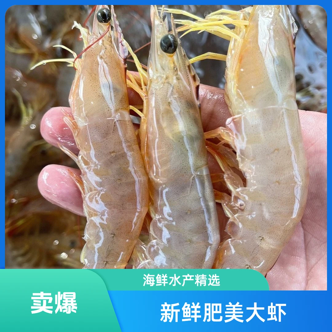 海南本港大白虾（一斤5-7只）