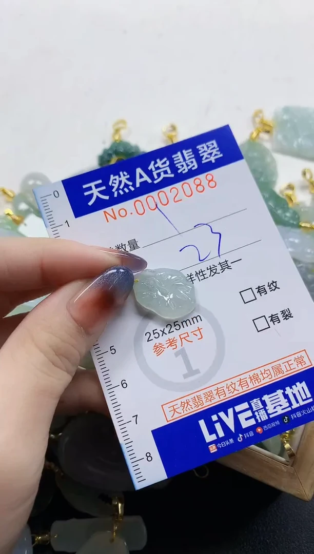 颈饰未镶嵌翡翠S*P天然A货翡翠