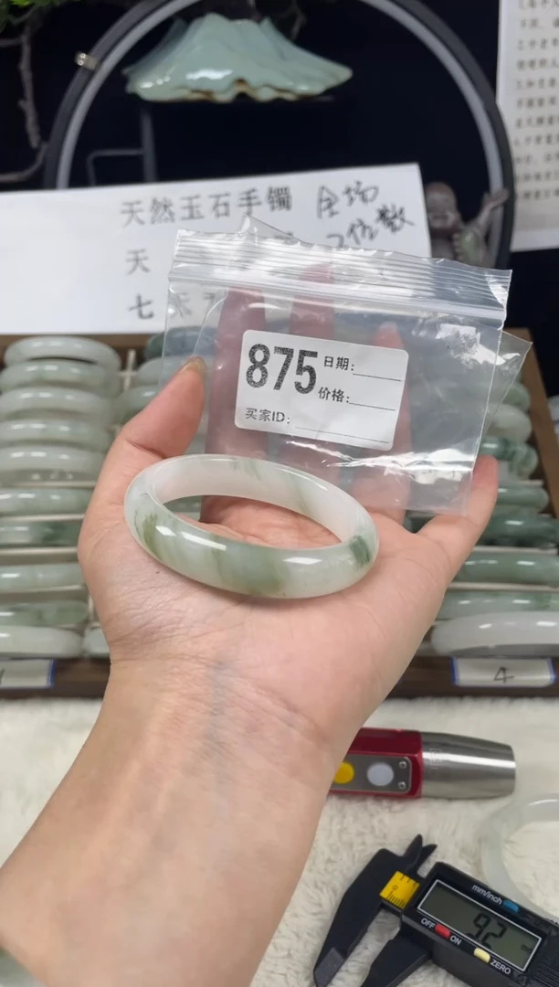 未镶嵌手镯石英质玉（天山翠）875