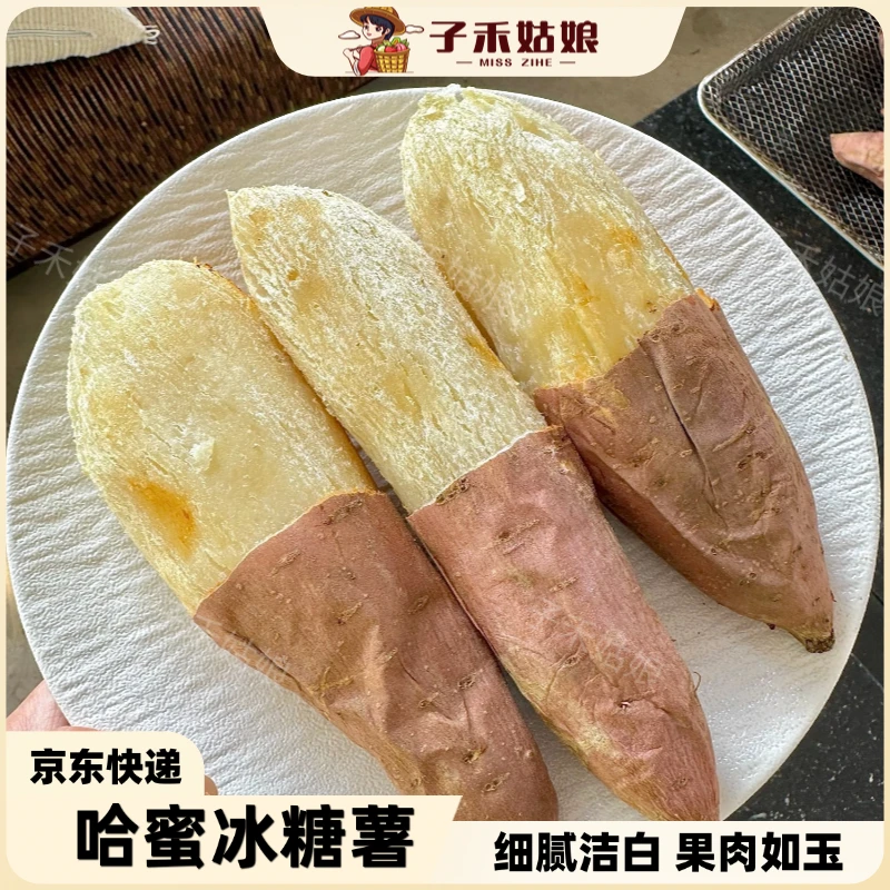 子禾姑娘哈蜜冰糖薯奶油白薯软糯香甜红薯番薯新鲜现挖4.5斤