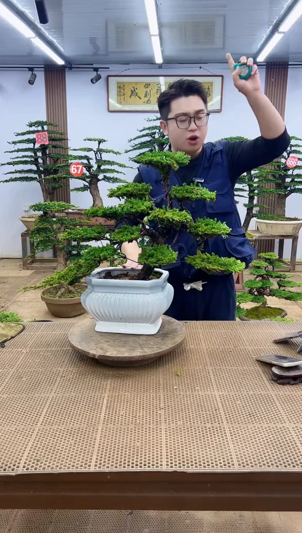 无花朵00000000000