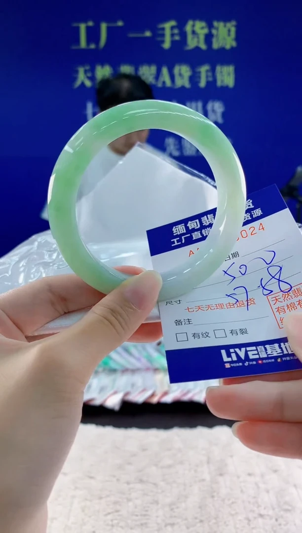 未镶嵌手镯翡翠23