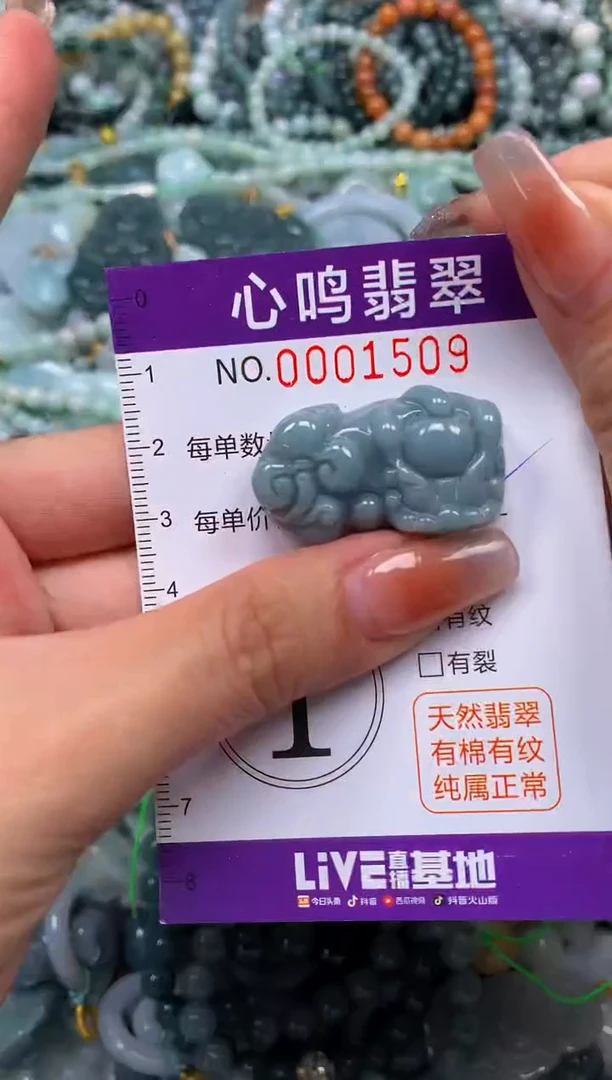 颈饰未镶嵌翡翠闪购001509