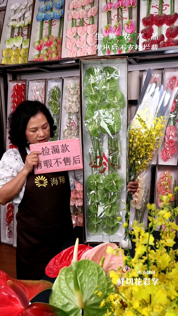 绿掌20支+B级跳舞兰1束，微瑕无售后