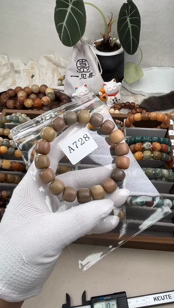 菩提根/象牙果手串a728卡14 干磨
