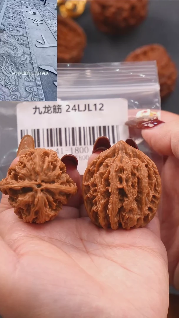 【闪购商品】文玩核桃把件41九龙筋