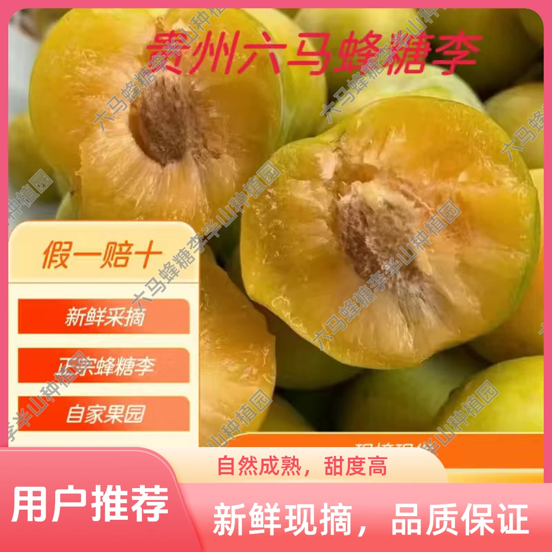 六马蜂糖李贵州正宗六马蜂糖李水果每天新鲜采摘拒绝假货假一赔十