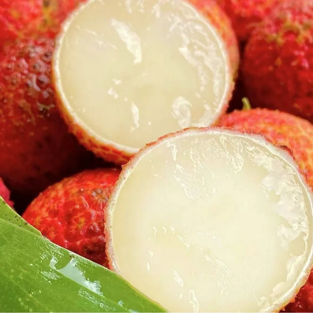 【水果外卖】海南限定无核荔枝【净重2斤】礼箱装  鸳鸯并蒂无籽一口爆汁水分超充足口感香甜细腻广东省