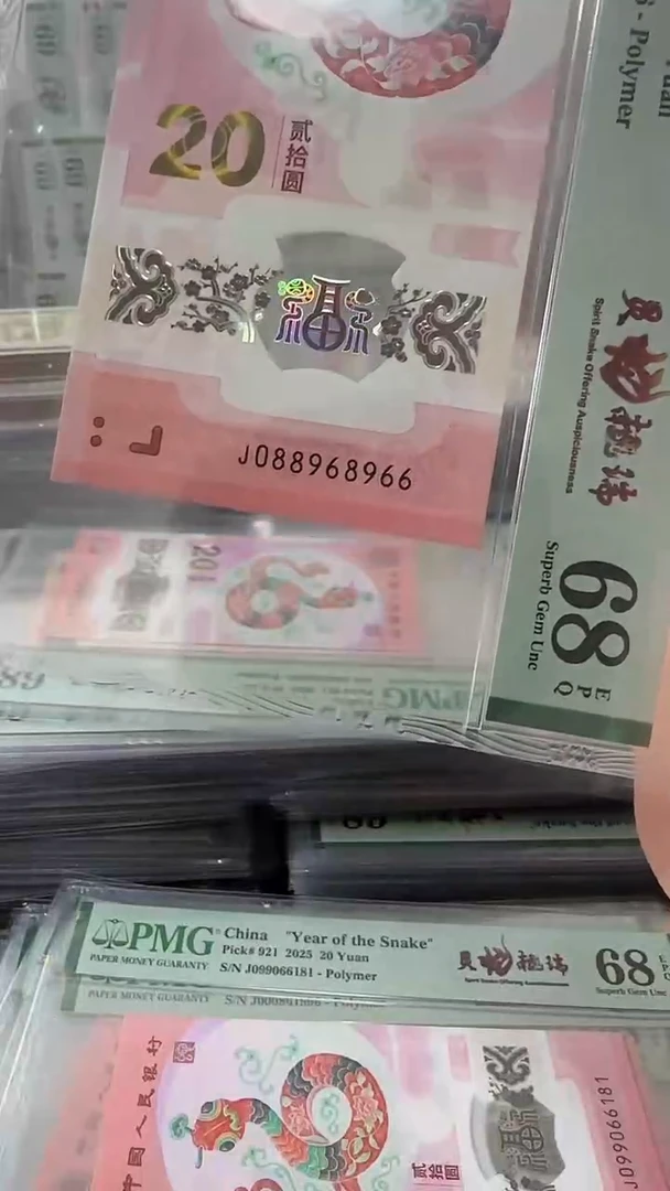 塑料088968966-蛇钞单张