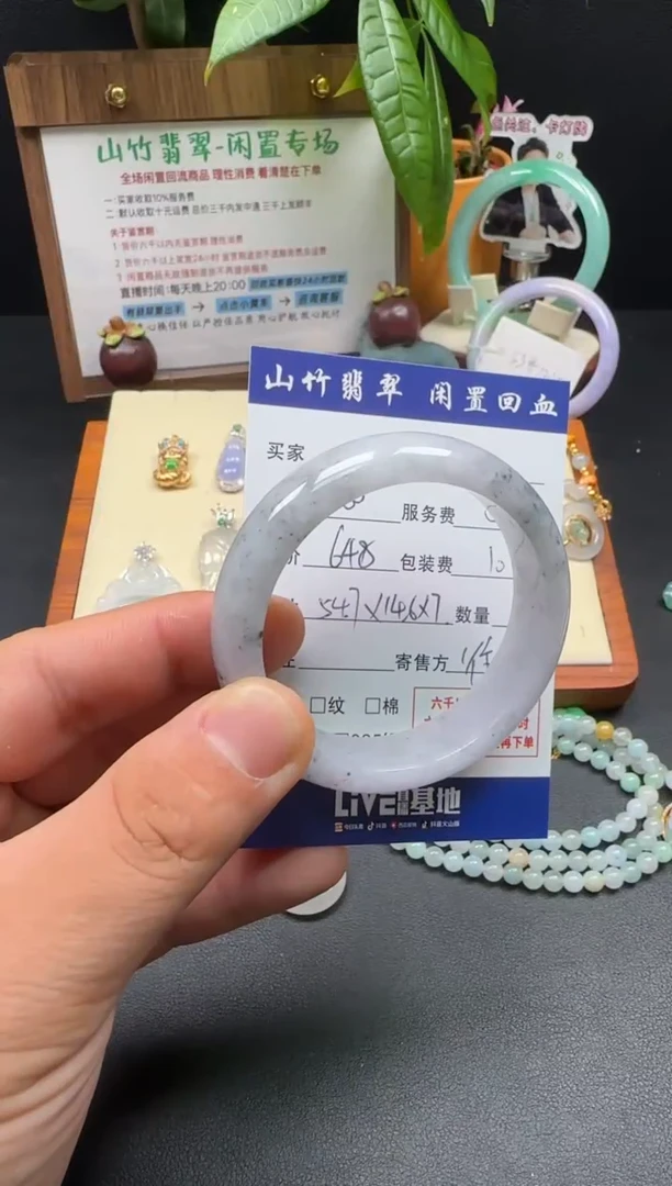 未镶嵌手镯翡翠3002498