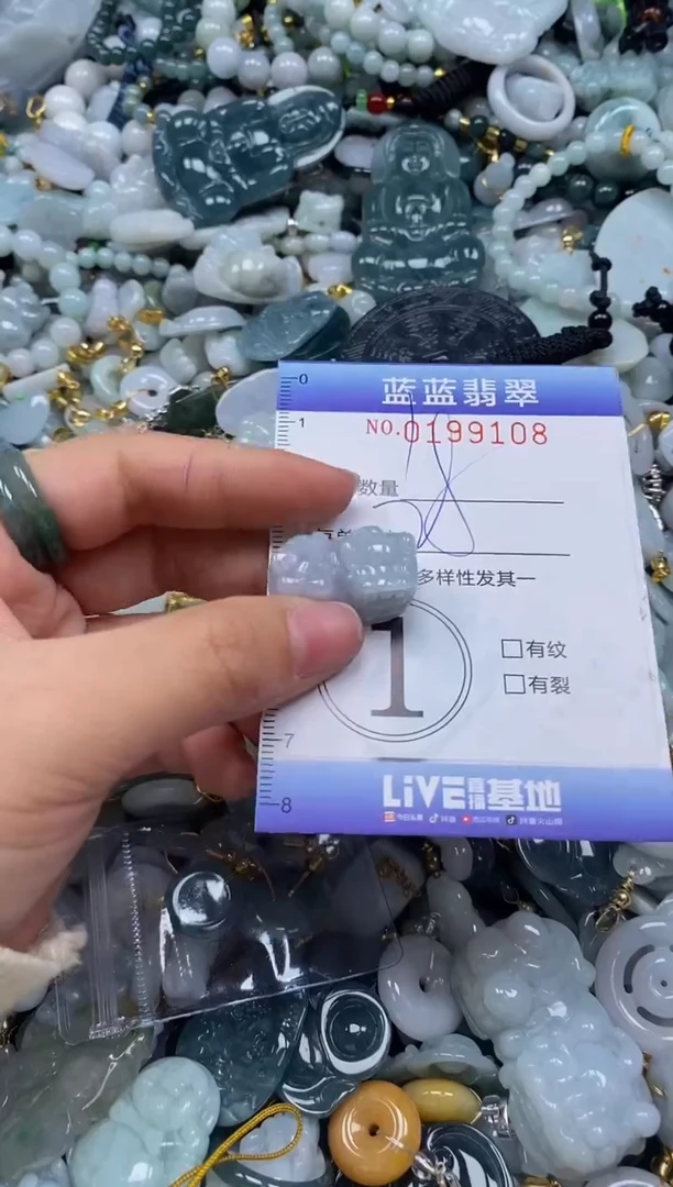 翡翠未镶嵌颈饰闪购0199108