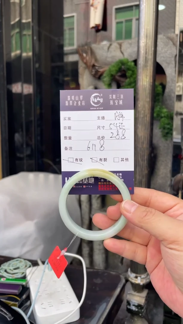 未镶嵌手镯翡翠W 54正圈 6118