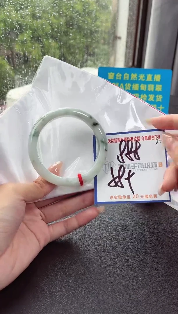 未镶嵌手镯翡翠11111