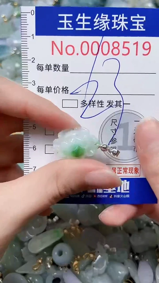 【闪购商品】翡翠颈饰未镶嵌闪购00008519