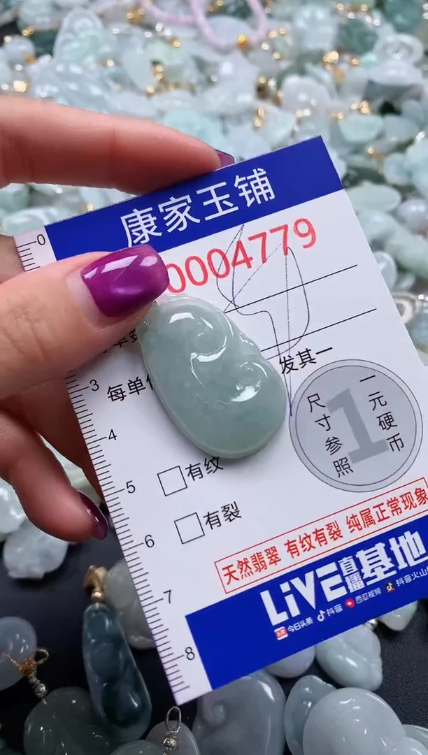 颈饰未镶嵌翡翠4779