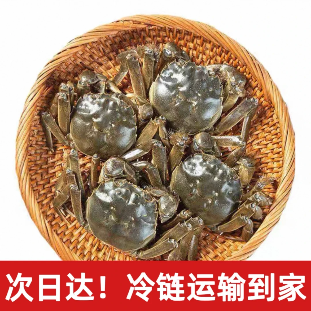 【活蟹】全母蟹1.3-1两/只 盘锦河蟹16-18只 1.8斤 京东次日达