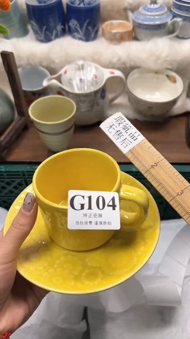 【闪购商品】瓷片          G104