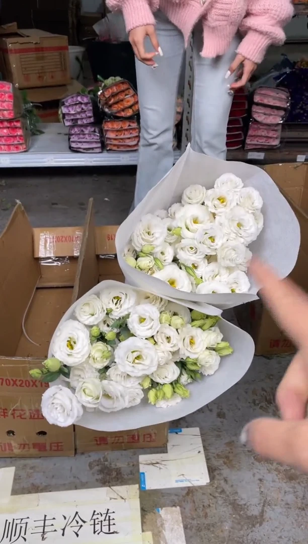 白色洋桔梗800克（3扎）