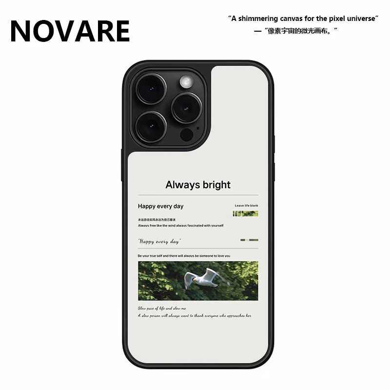 飞鸟与明亮生活志磨砂磁吸电镀壳适用于苹果17promax小众防摔16