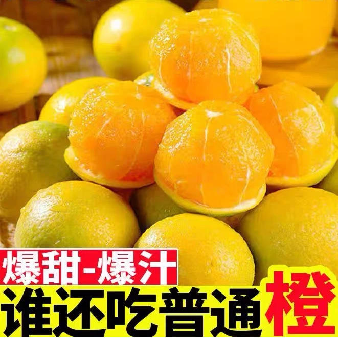 冰糖橙带箱5斤当季小橙子新鲜水果橙子 现采现摘