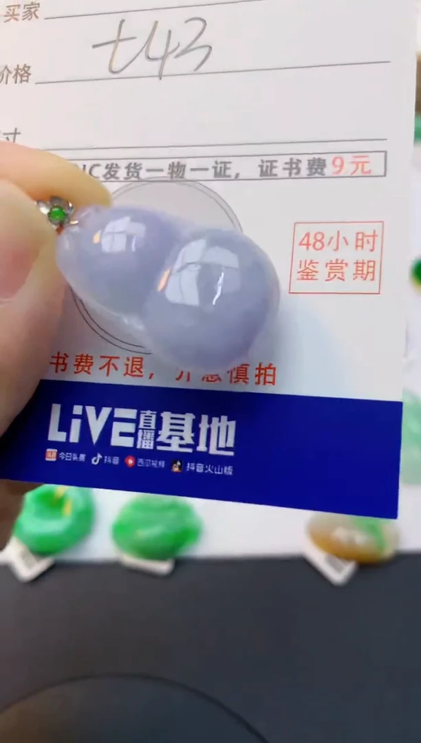 颈饰18K金镶嵌翡翠天然缅甸A货翡翠百元以上9元证书费自理