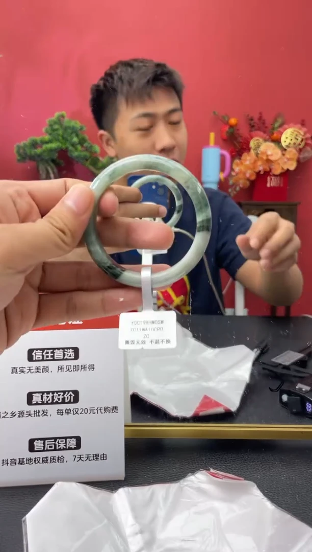 未镶嵌手镯翡翠6