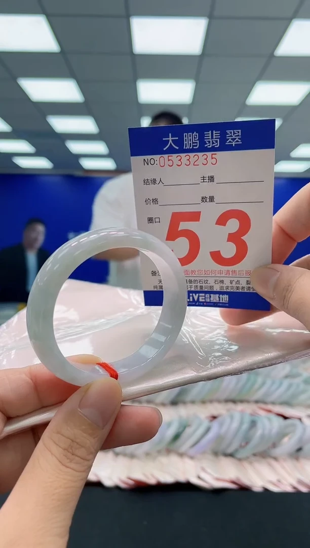 未镶嵌手镯翡翠AAAAAAAAA