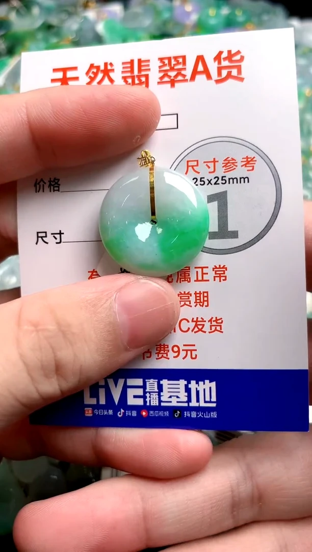 翡翠18K金镶嵌颈饰0583557656