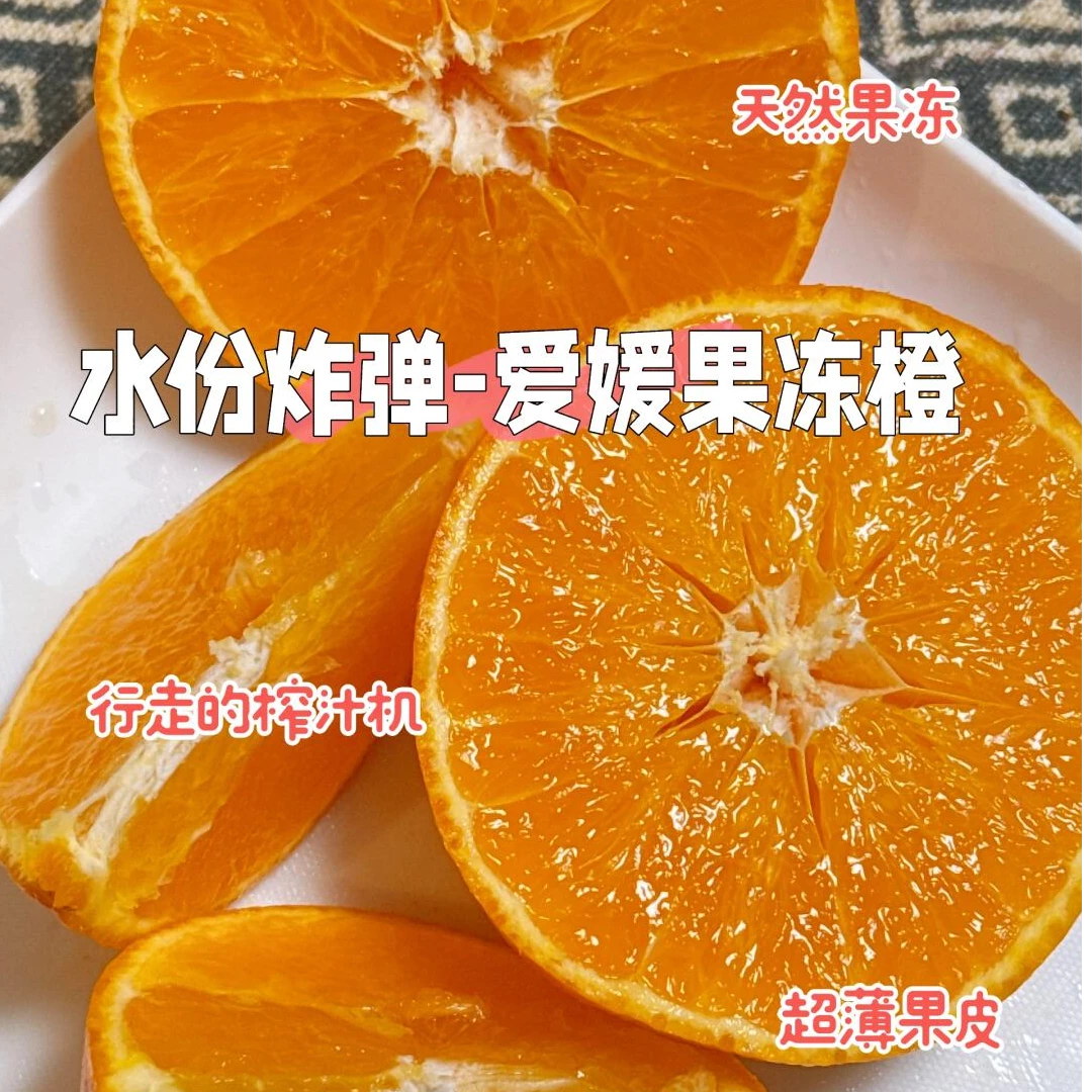 四川爱媛果冻橙 3.8-4斤辽宁省