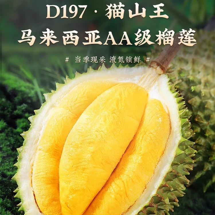 【盛园祥 保5房】马来西亚猫山王D197榴莲液氮冷冻2.5-20斤绵密丝滑