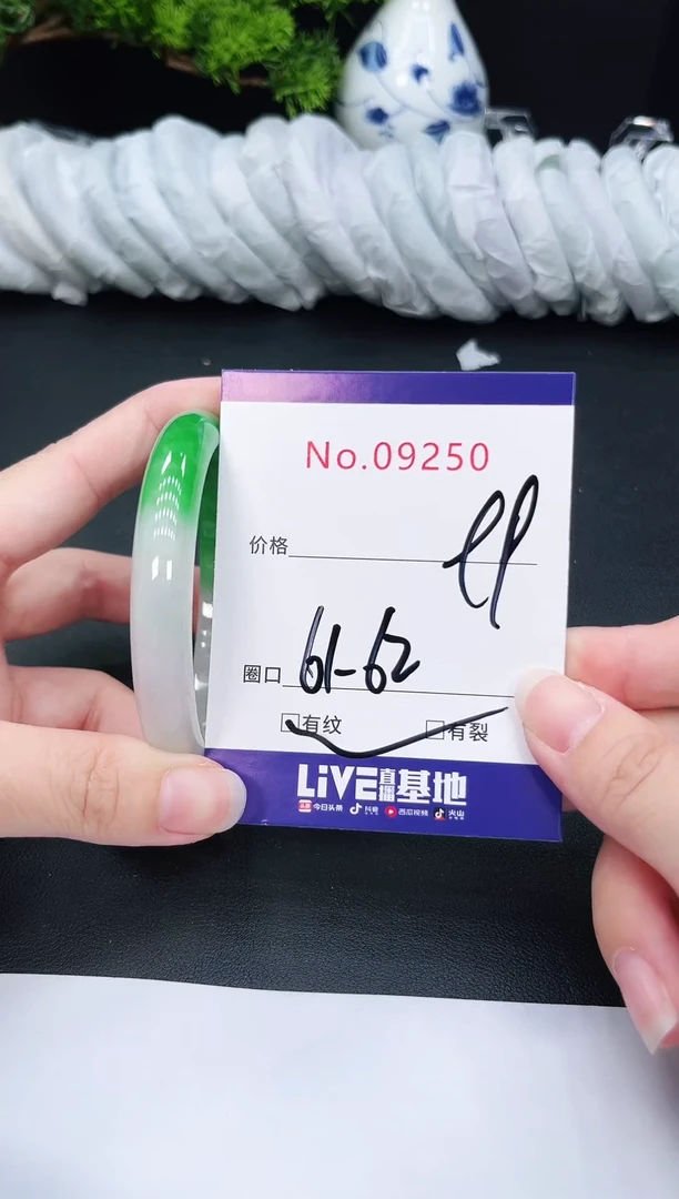 未镶嵌手镯翡翠9250