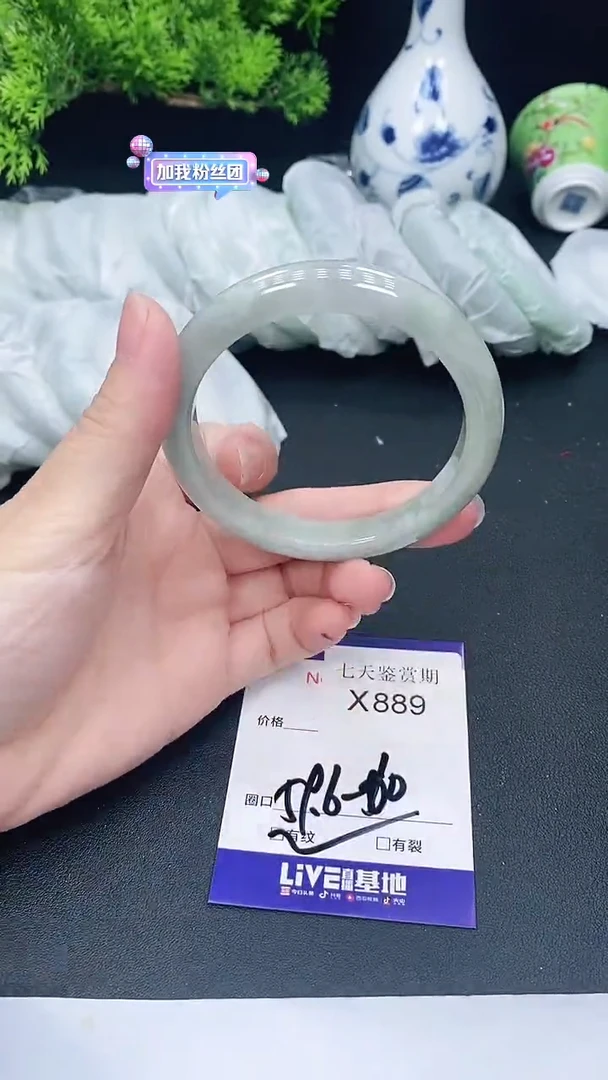 未镶嵌手镯翡翠889