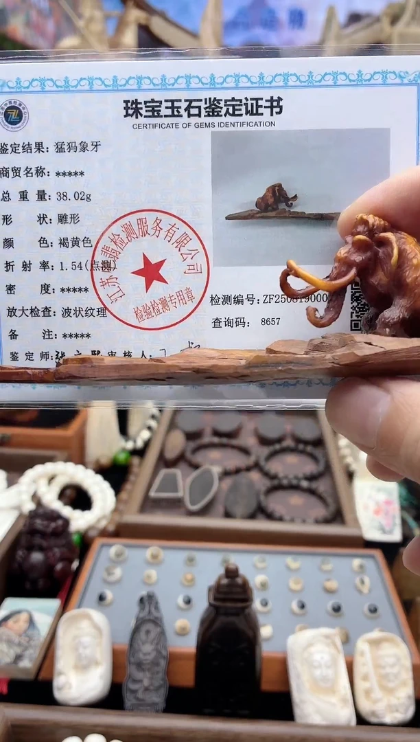 猛犸猛犸++++++82