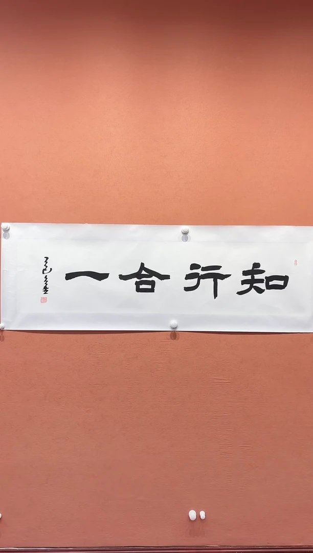 书法代召金老师书法作品-知行合一