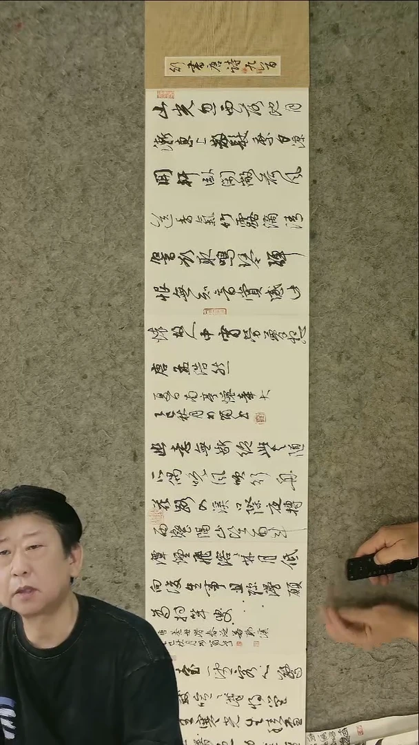 书法20*28cm   24页书法册页   刘啸老师作品