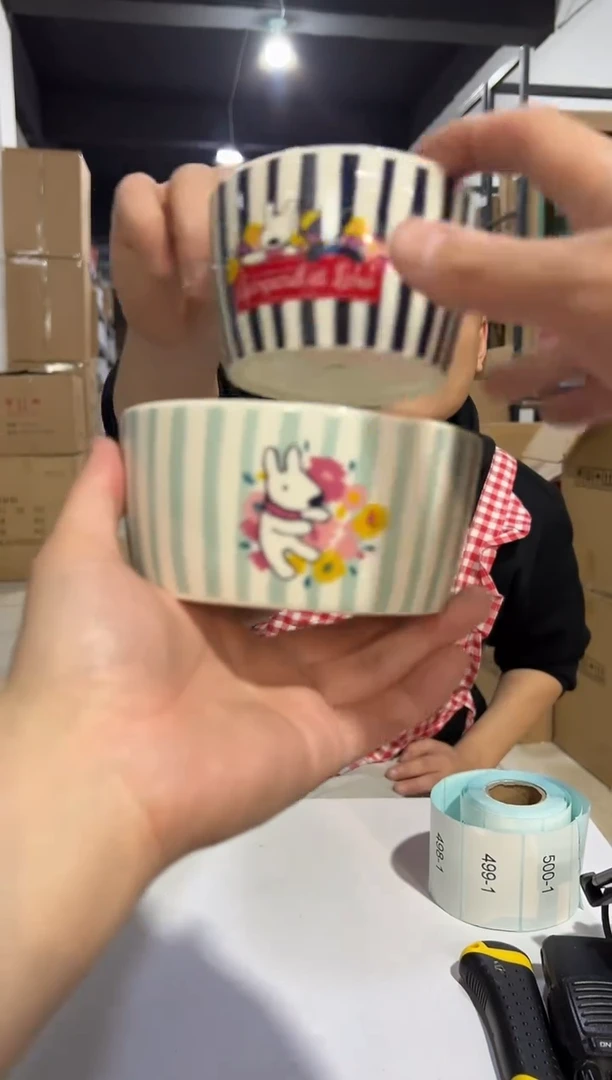 【闪购商品】杯条纹大小碗2件套