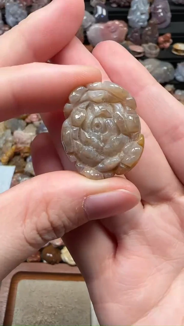 颈饰未镶嵌硅化珊瑚（珊瑚玉）487