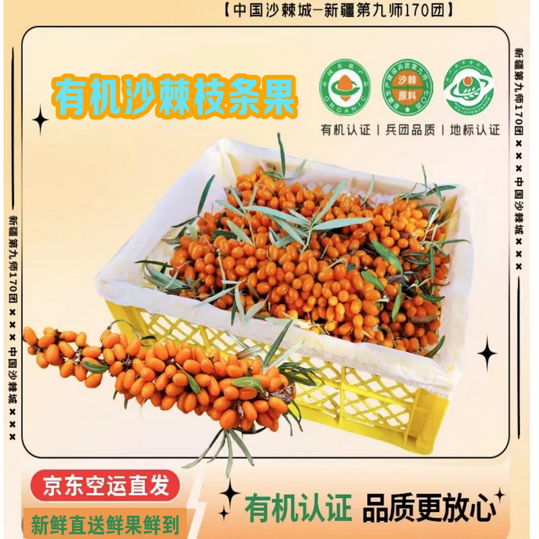 新疆170团有机沙棘大果（三斤/带枝条带叶）