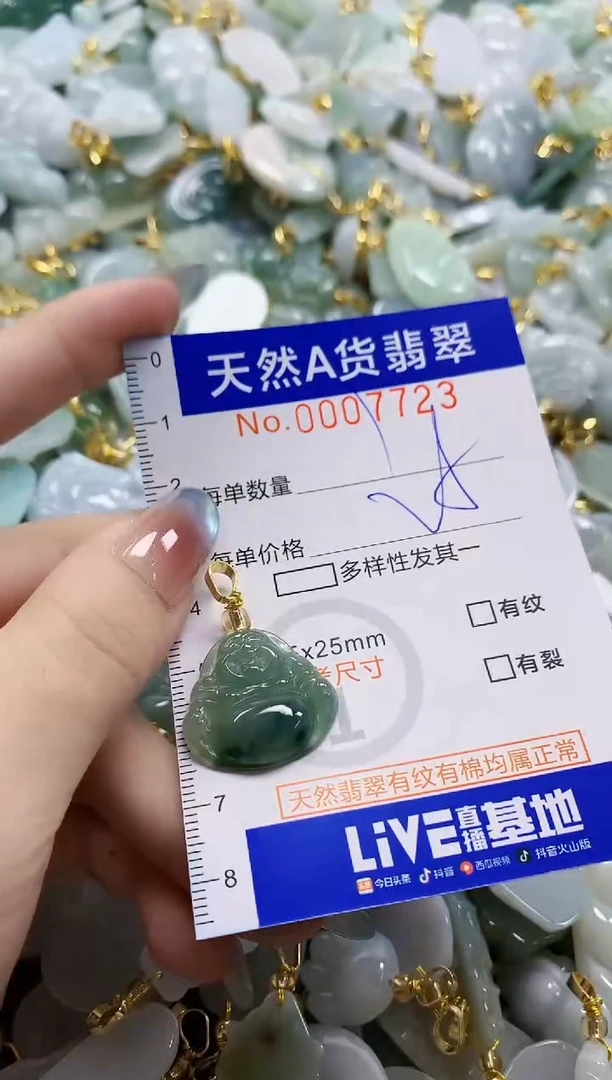 颈饰未镶嵌翡翠纯天然a货翡翠